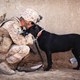 Illustration for article titled Memorial Day Evening Open Thread
